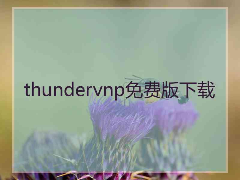 thundervnp免费版下载