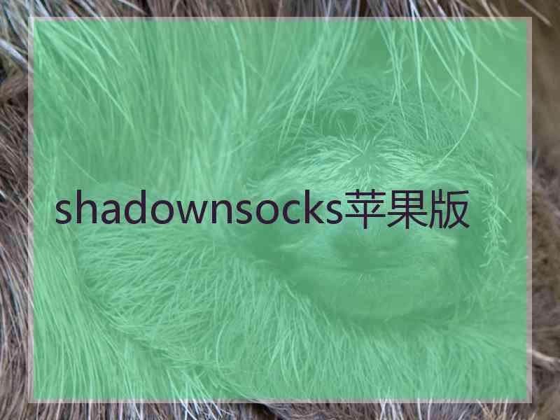 shadownsocks苹果版